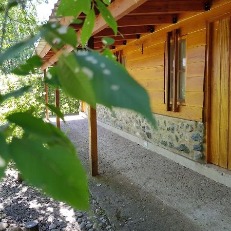 ホテル Cabanas Brisas Del Bosque Villa Ciudad Parque エクステリア 写真