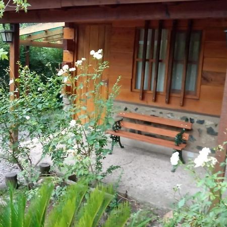 ホテル Cabanas Brisas Del Bosque Villa Ciudad Parque エクステリア 写真