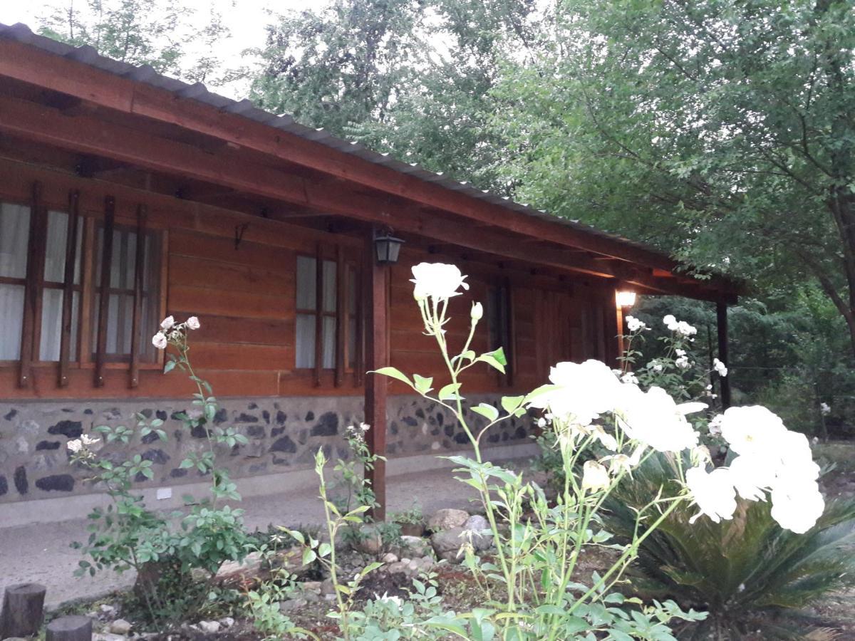 ホテル Cabanas Brisas Del Bosque Villa Ciudad Parque エクステリア 写真