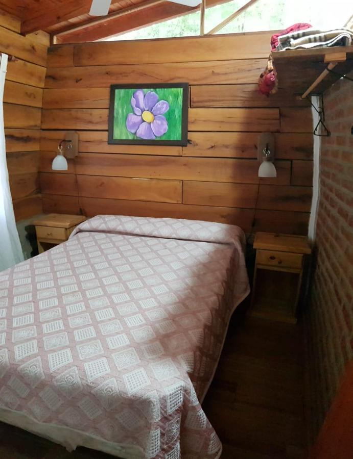 ホテル Cabanas Brisas Del Bosque Villa Ciudad Parque エクステリア 写真