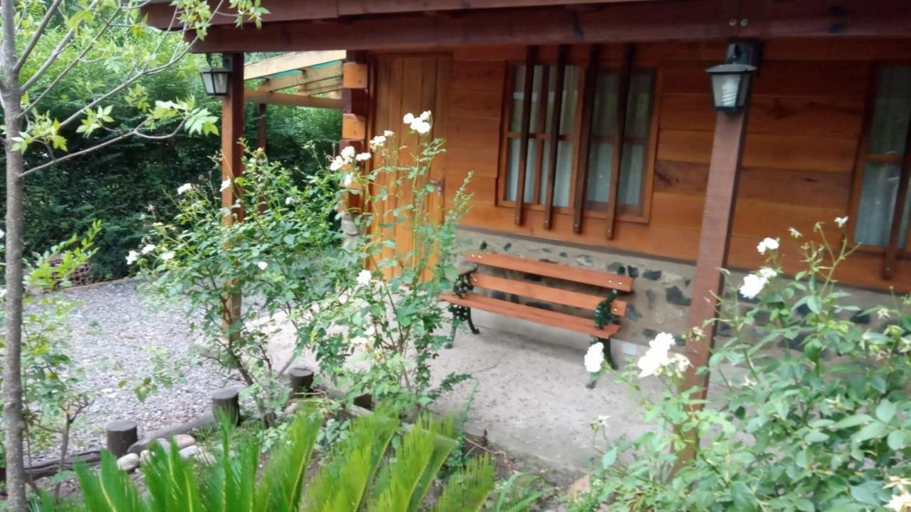 ホテル Cabanas Brisas Del Bosque Villa Ciudad Parque エクステリア 写真